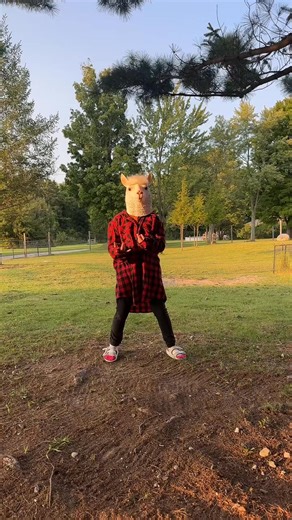 The dancing llama #funny #dancing #llama #llamamask #funnyllama #cutenessoverload #babyllama #goosethellama #cria #llama #babyanimal #animals #fyp | The Packing Llamas | Facebook