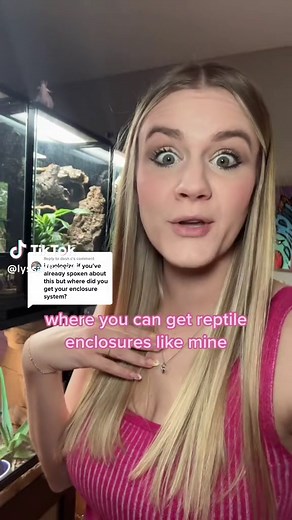 Where to Get Reptile Enclosures | Enclosure Breakdown