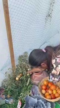 #gardening #stroberry #garden #kitchengarden #minivlog #kitchengardendesign #plants