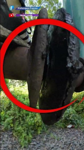 Buffer-to-Buffer Coupling | Pure Railway Action