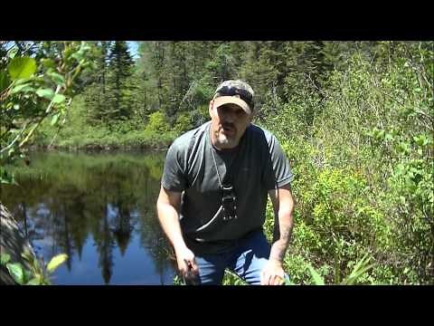 NEW Fishing Trigger System, using a DF4 trap