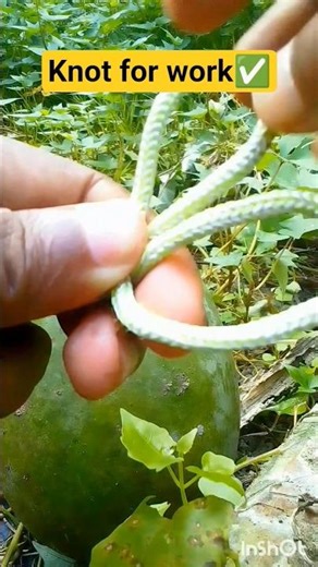 Practical_use_of_Knot.🪢☑️,#knotting,#knot,#diy,‪@Knot_Master‬