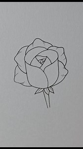 Rose Flower drawing | Mini Drawing