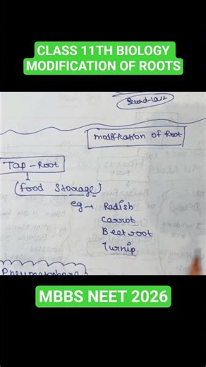 CLASS 11TH BIOLOGY MODIFICATION OF ROOTS MBBS NEET 2026 BY VICKY SINGH #NEET #mbbs #biology #VIRAL