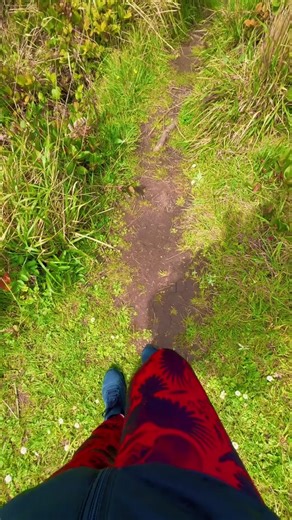 Oregon ❤️ #gerrigirl #oregon #pnw #shoreacresstatepark #coosbayoregon