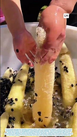 Handcrafted Process of Turning Loofah Fibers into Dishwashing Scrubbers