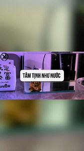 🤣🤣 | Crush Zone
