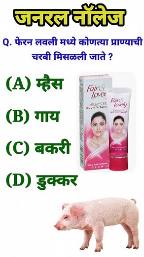 Gannral Knowledge Prashna || Marathi Prashna Uttar || Today Questions || Gk Quiz generalknowledge questionquestionsandanswers Rdgk questionsandanswers gkquestions questions2024 marathigk gkquestion gkquestions marathigk questiongk questionmarathigk quetionanswer inmarathi generalknowledge marathigk questionsandanswers gkquestionsinmarathi generalknowledge questionsinmarathi gkinmarathi generalknowledgequestions marathigeneralknowledge #ganral #generalknowledge #questionsgk #questionsgk #generalk