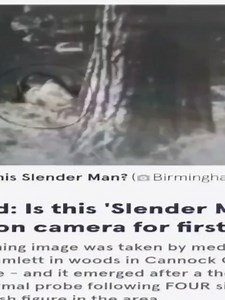 Misterios de Cannock Chase: Criaturas y Leyendas