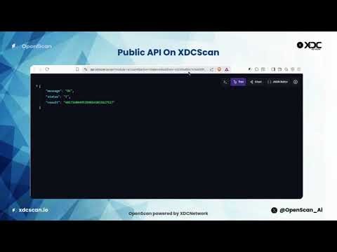 Access public api on Openscan powered by XDC Network