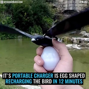 986K views · 7.1K shares | This bionic bird drone looks cool as f@*k! | UNILAD Tech | Facebook
