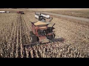 Jeff Paplow Harvesting cutting corn and hauling it to one of the biggest feedlots in the USA