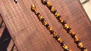 Watch Baltic Amber Teething Necklace with Amber Bracelet for Babies ﹙Unisex﹚ Anti Flammatory, Drooling... on Amazon Live