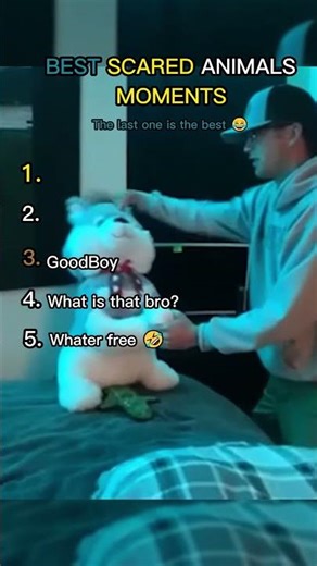 Best Scared Animal Moments! (you won’t believe!🤣)