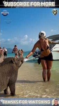 Saving Innocent Lives 🐾 | Part 14 ❤️ #animals