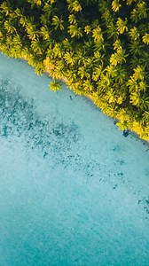 Tetiaroa's hidden gems thebrando.com #nature #paradisefound #islandmagic #frenchpolynesia #tetiaroa | The Brando