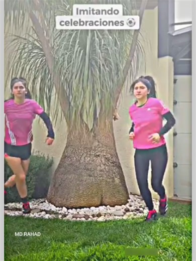 Exploring Brazil: Culture and Vibrancy