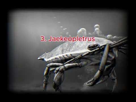 Top 4. Devonian Sea Creatures (Video-Short) | Age of fish