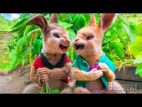 Rabbit family steals all the carrots | Peter Rabbit | CLIP 🔥 4K