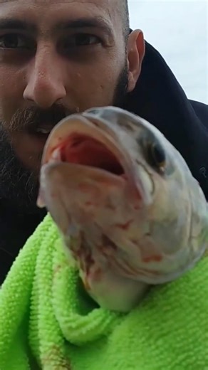 Ξέρεις πως λέγεται αυτό το ψάρι;