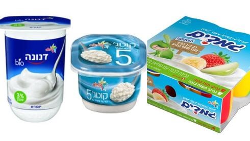 גם שטראוס מעלה מחירים: מייקרת דנונה, גמדים וקוטג'