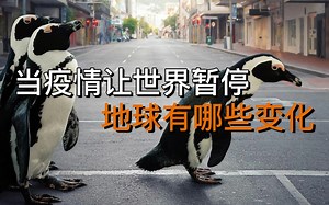 当世界没有人类的参与，地球开始发生惊人的改变