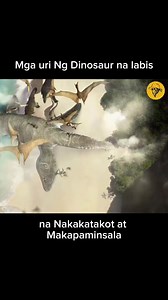 66K views · 1.8K reactions | Mahigit 125 million years nung Sila ay muling matagpuan練 #dinosaur #dino #animal #animals #carnivore #trex #PrehistoricPlanet #extinction #SasquatchSighting #reelsfb #reels #prehistoric #prehistory #fyp | DeepCut Cinema | Facebook