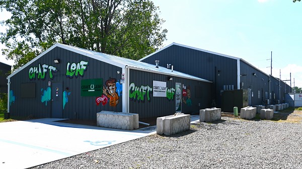 2025 MI marijuana excise tax revenues drop for local governments