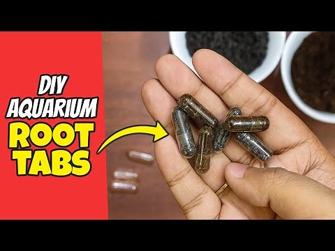 DIY Root Tabs for Aquarium Plants | Easy Fertilizer Hack!