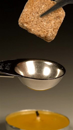 #asmr #macro #satisfying #closeup #videos | Macrogods