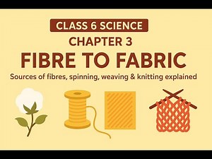 Class 6 Science Chapter 3 | Fiber to Fabric | Explained in one shot