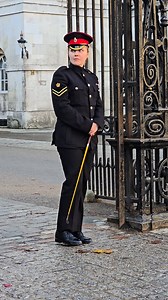 Elegance & professionalism at Horse Guards in London ✨💼 Thank you for your service! #HorseGuards | King's Guard