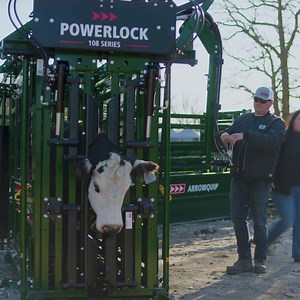 Precision and safety redefined with the NEW Powerlock hydraulic squeeze chutes. | Arrowquip