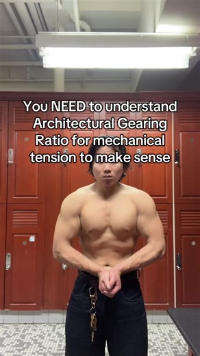 Understanding Architectural Gearing Ratio in Muscle Training