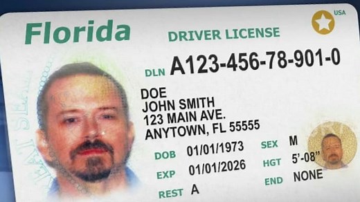 Florida driver’s licenses are changing. Here’s what to expect