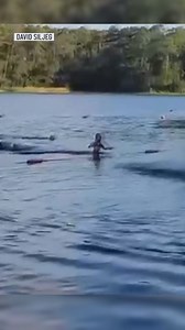 A massive 14-foot alligator charged toward a group of Girl Scouts who were swimming in a Texas lake. Full story here: https://www.nbcdfw.com/news/national-international/scary-footage-shows-14-foot-alligator-swimming-toward-group-of-girl-scouts-in-texas-lake/3338498/ | NBC DFW