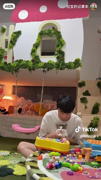 Uncle Bao the Xylophone Cat Performance