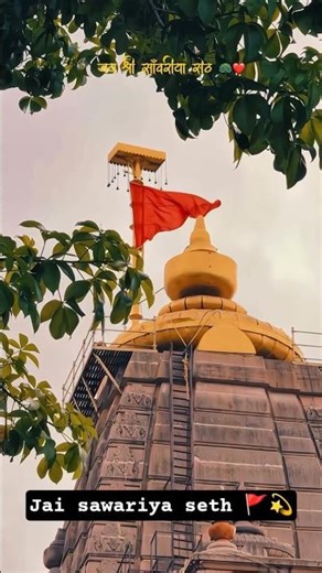 Jai sawariya seth 🌹💓#youtubeshorts #1million #madfiya #mostpopular