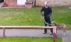 Heartbreaking moment cruel owner leaves dog behind