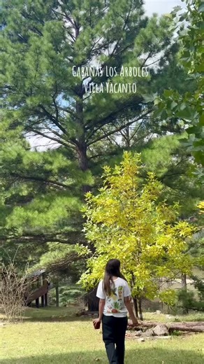 Otoño en Cabañas Los Arboles Veni a descubrirlo 🌲✨