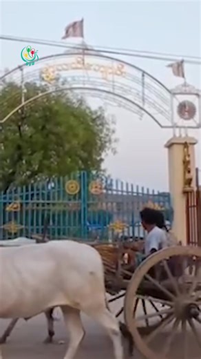 5.9K views · 71 reactions | The epicenter of the Myanmar earthquake...