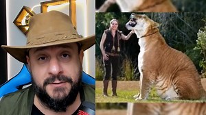O canal é apresentado pelo Biólogo Henrique para a divulgação científica, visando traduzir a linguagem científica para que qualquer pessoa possa entender os avanços da ciência, principalmente sobre as ciências biológicas como Zoologia, Botânica, Ecologia e outras O ligre (em inglês: Liger) é um animal híbrido resultado do cruzamento entre um leão e uma tigresa. O seu aspecto é de um gigantesco felino dourado com listras difusas, e que pode ou não ter uma pequena juba. É atualmente o maior felino