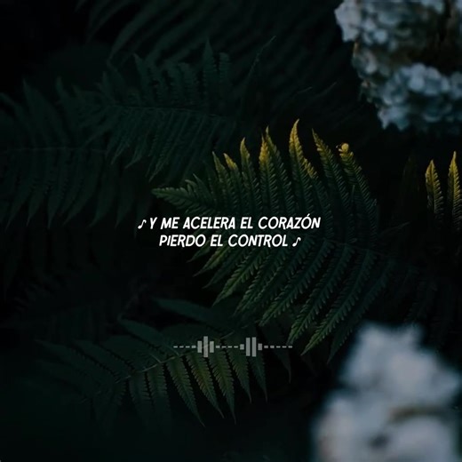 149K views · 4.9K reactions | Reik - Tu Mirada // Letras | J Gabriel C Gamarra | Facebook