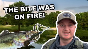 Fishing a LOADED Golf Course Pond! The Bass Were Crushing Spinnerbaits! (Googan Squad Zinger)