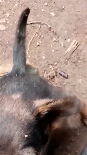 #promote #promo #hiphop #spongebob #music