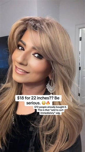 $18 for 22 inches?? Be serious. 😳🔥 Layered. Full. Heat resistant. Natural everyday style. And 572 people already bought it. This is that “add to cart immediately” wig. @Bai Le of Wig #wig #gluelesswiginstall #gluelesswigs #wiginfluencer #tiktokwig