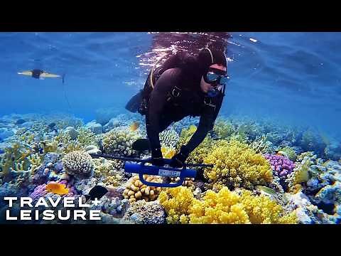 How Scientists Are Restoring the Great Barrier Reef (And The Best Way To See It)