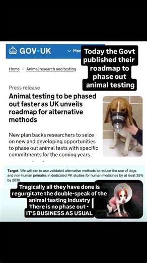 Labour's long awaited roadmap to end animal testing has tragically, but oh so unsurprisingly, turned out to be nothing but a roadmap from the animal testing industry to keep their cruel, outdated business running for a few more decades. Labours manifesto promise was this “We will partner with scientists, industry, and civil society as we work towards the phasing out of animal testing.” Once elected we were promised a roadmap to fulfill their pledge "The party will promise to publish a roadmap to