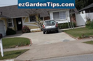 Comment planter Mallow 🌱 Conseils Jardiniers - Fr.ezGardenTips.com