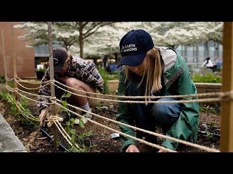 Bachelor of Science in Environment and Sustainability | Georgetown University